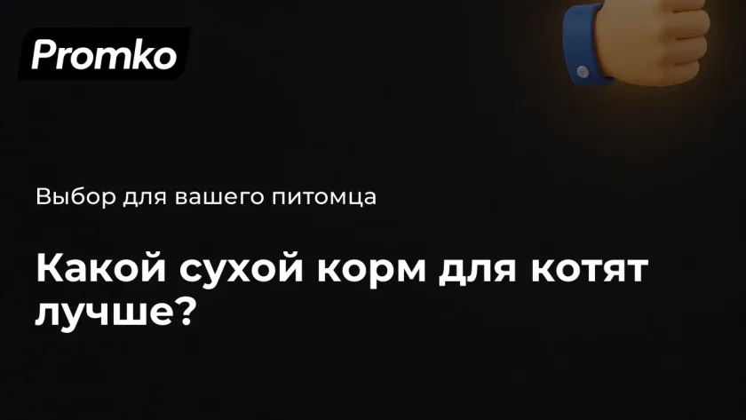 Лучший сухой корм для котят